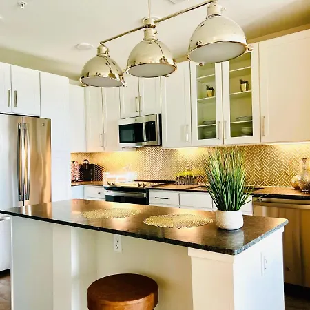 Lavish 1 Bedroom Suite-Downtown Dallas-2