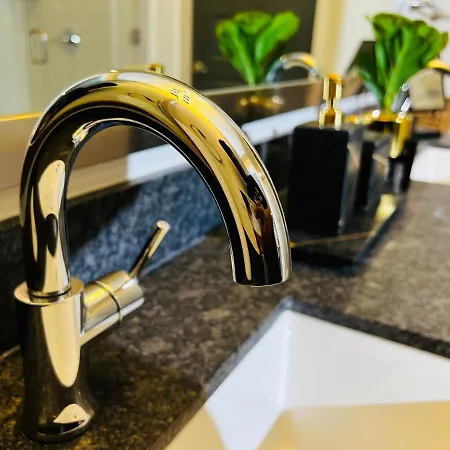 Lavish 1 Bedroom Suite-Downtown Dallas-3