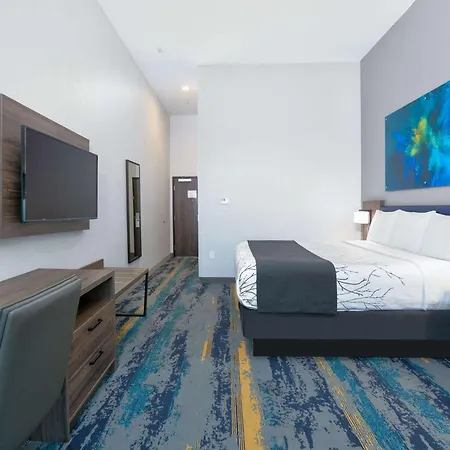 La Quinta Inn & Suites By Wyndham Dallas/Fairpark-3