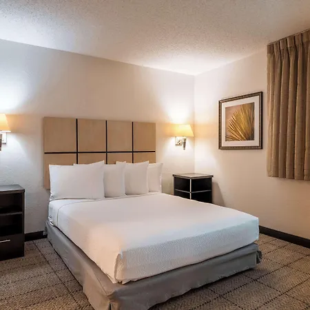 Sonesta Simply Suites Dallas Richardson-3